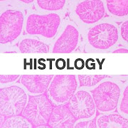 Top 39 Education Apps Like Histology: Slides,Identification Points and Theory - Best Alternatives