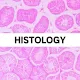 Histology: Slides,Identificati