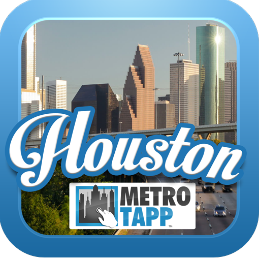 Houston Texas  Icon