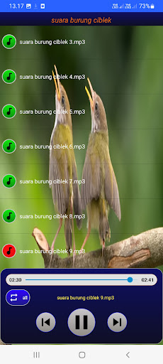 Suara burung ciblek Screen 3
