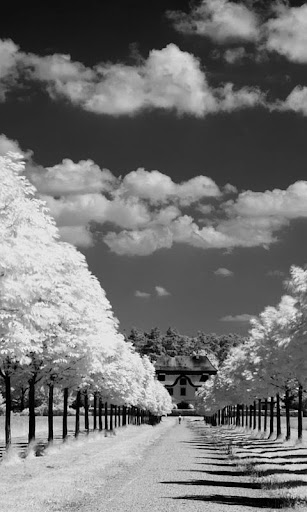 Black and White Wallpaper