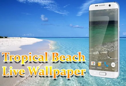 熱帶海灘動態壁紙