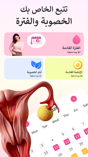 معاينة التطبيق