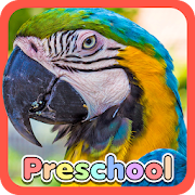 Wild Animal Preschool Games app icon