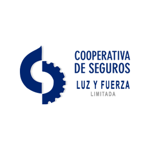 Luz y Fuerza Car Inspection logo
