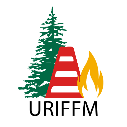 Вартовий лісу logo