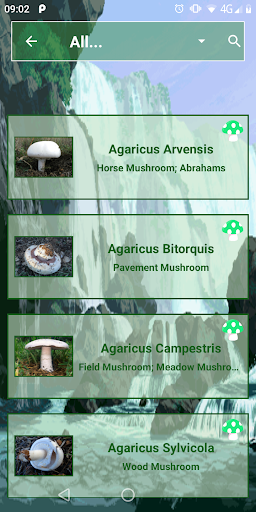 Mushrooms Guide Screen 2