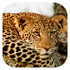 Stuarts’ SA Mammals - Androidアプリ