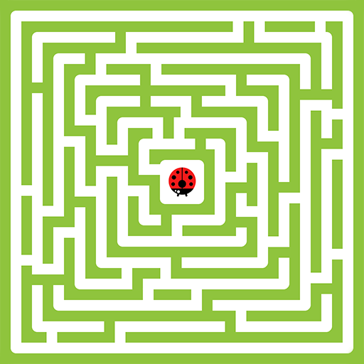 Roi du labyrinthe