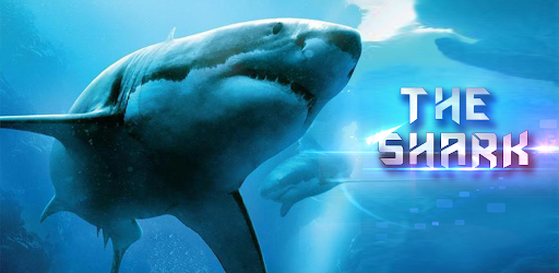 The Shark