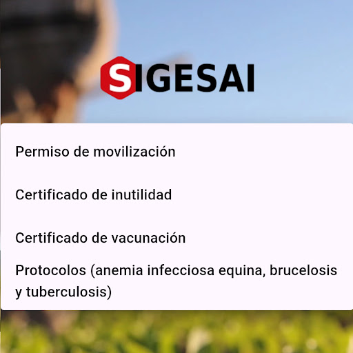 SIGESAI - Verificación INSAI