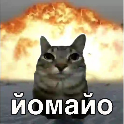 Стикеры для Ватсапа на Русском