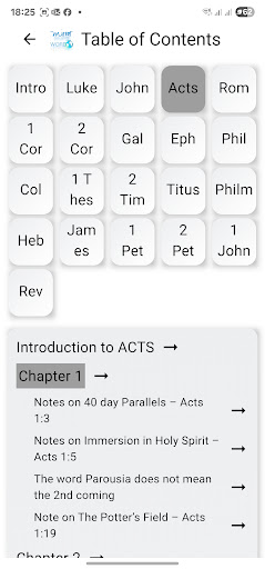 Mirror Word screenshot 2