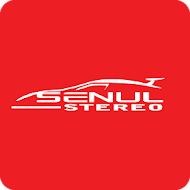 Senul GPS APK