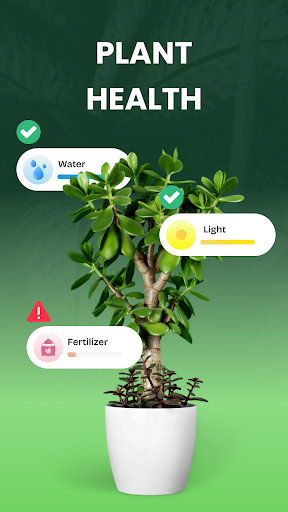 پیش نمایش برنامه