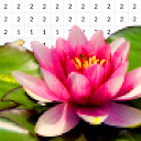 Descargar Flower Pixel Paint By Number Instalar Más reciente APK descargador