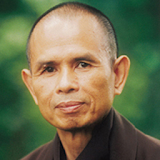 Thich Nhat Hanh Sach Phat Giao icon