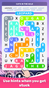 Word Search Puzzle Game