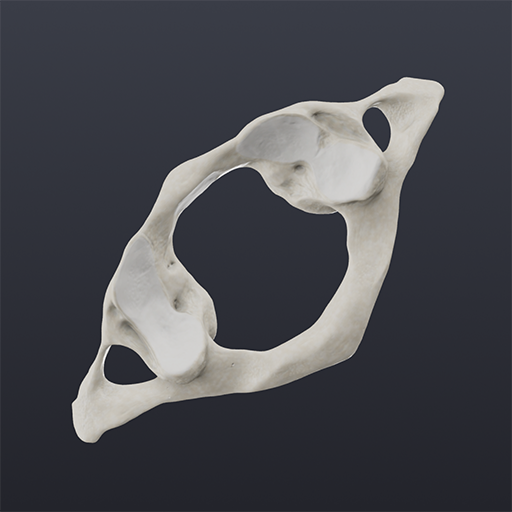 Biomechanics of the Spine Lite logo