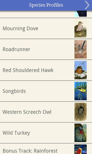 Nicole Perrettas Bird Calling Screen 2