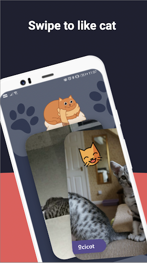 Catify Screen 3