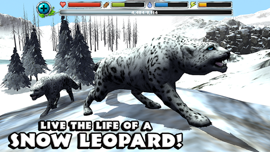 Snow Leopard Simulator Unknown