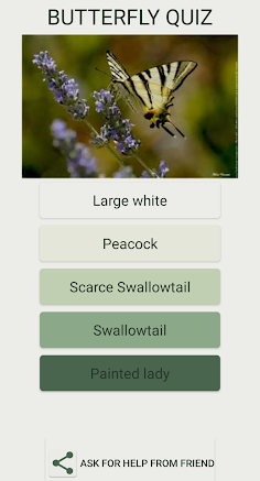 Quiz : What Butterfly Are You  - Screenshot 2