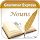 Grammar Express : Nouns Lite