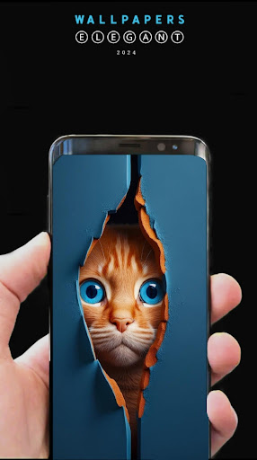 wallpaper 4k.Betta.HD Screen 2