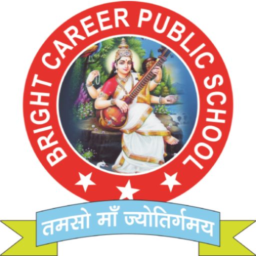 Bright Career Public School  Icon