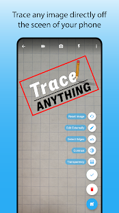 Trace Anything