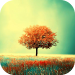 Cover Image of Скачать Живые обои Awesome-Land HD: выращивайте больше деревьев  APK
