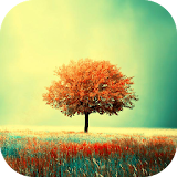 Awesome-Land Live wallpaper HD : Grow more trees icon