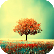 Awesome-Land Live wallpaper HD : Grow more trees