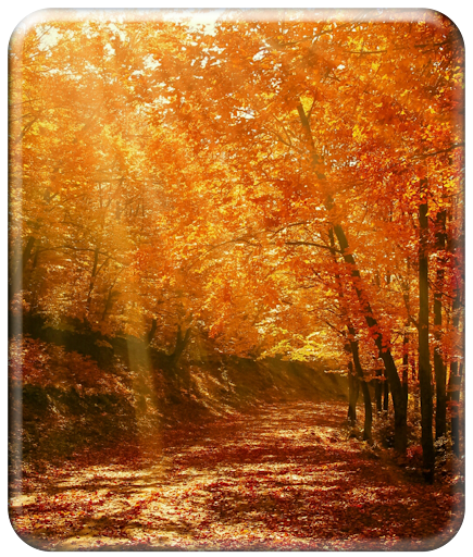Nature Wallpaper HD Screen 2