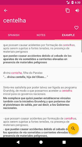 Portuguese Spanish Dictionary Screen 3