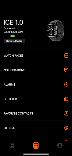 ICE ONE Screen 3