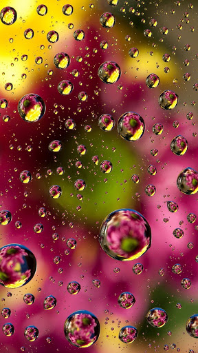 Android application 3d Wallpapers screenshort