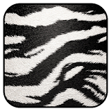 Zebra Wallpaper icon