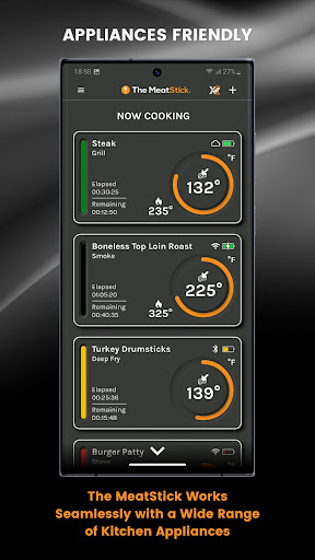 The MeatStick Screen 2