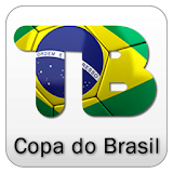 Copa do Brasil 2013 icon