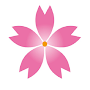 Sakura Live  icon