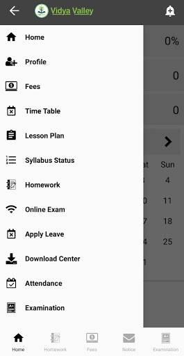 Vidya Valley Academy