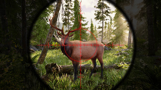 Deer Hunting Game 3d Simulator Screen 3