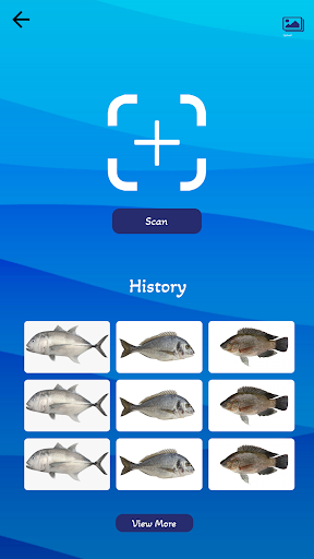 Name That Fish Screen 2