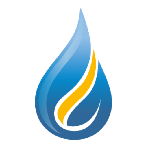 NES Health logo