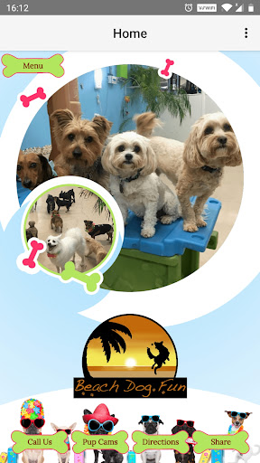 Android application Beach Dog Fun screenshort
