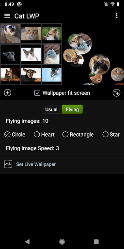 Cat LWP Screen 2