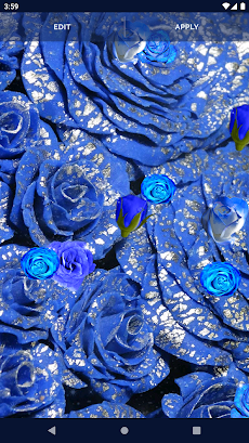 Blue Rose Live Wallpaper 3Dのおすすめ画像5