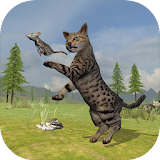 Wild Cat Survival Simulator icon